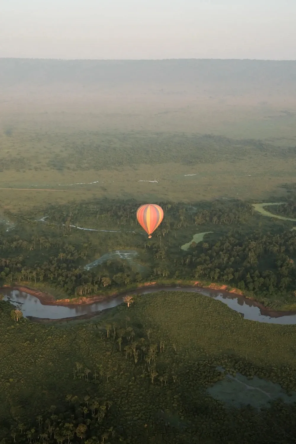 Masai Mara and Amboseli in end-May